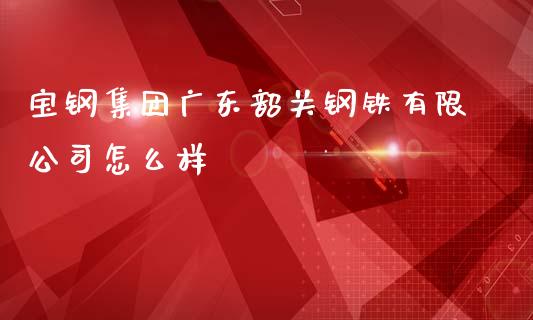 宝钢集团广东韶关钢铁有限公司怎么样_https://cj002.lansai.wang_财经问答_第1张
