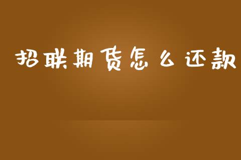 招联期货怎么还款_https://cj002.lansai.wang_期货问答_第1张