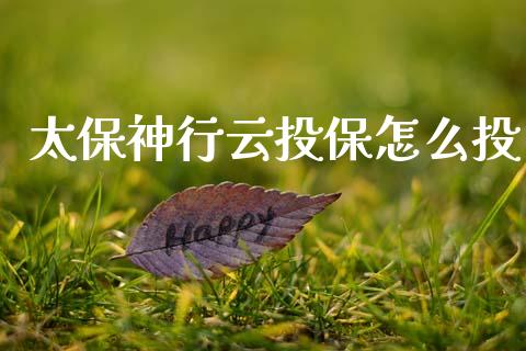 太保神行云投保怎么投_https://cj002.lansai.wang_保险问答_第1张