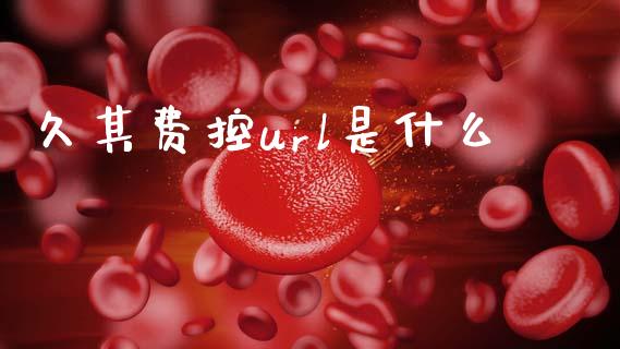 久其费控url是什么_https://cj002.lansai.wang_期货问答_第1张