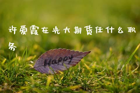 许爱霞在光大期货任什么职务_https://cj002.lansai.wang_金融问答_第1张