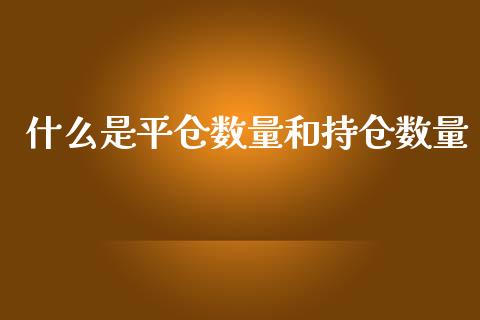 什么是平仓数量和持仓数量_https://cj002.lansai.wang_期货问答_第1张