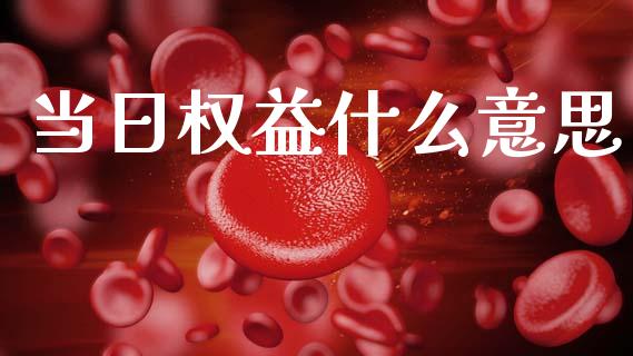 当日权益什么意思_股市问答_第1张_财经百问网 当日权益什么意思_https://cj002.lansai.wang_股市问答_第1张