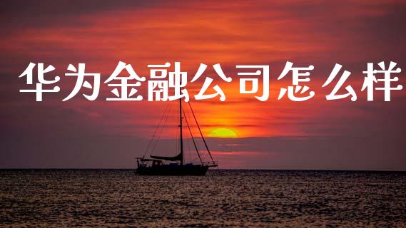 华为金融公司怎么样_https://cj002.lansai.wang_财经百问_第1张