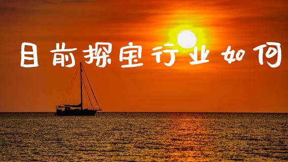 目前探宝行业如何_https://cj002.lansai.wang_财经问答_第1张