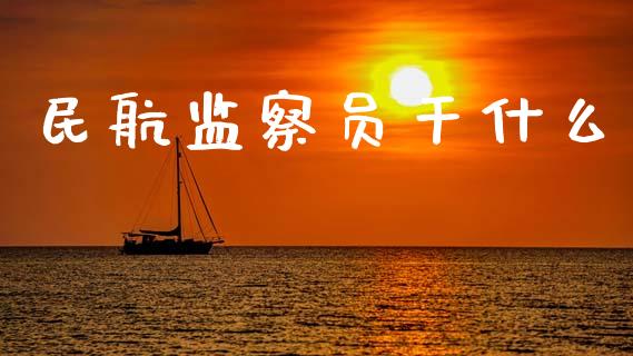 民航监察员干什么_https://cj002.lansai.wang_财经百问_第1张