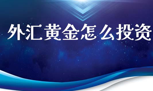 外汇黄金怎么投资_https://cj002.lansai.wang_财经问答_第1张