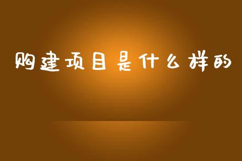 购建项目是什么样的_https://cj002.lansai.wang_会计问答_第1张