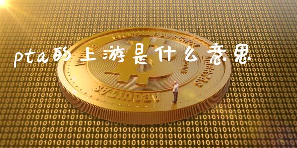 pta的上游是什么意思_https://cj002.lansai.wang_期货问答_第1张