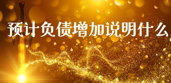 预计负债增加说明什么_https://cj002.lansai.wang_会计问答_第1张