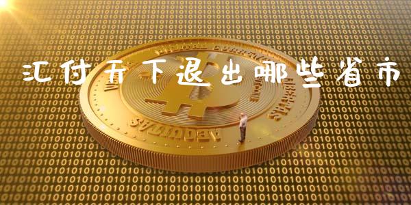 汇付天下退出哪些省市_保险问答_第1张_财经百问网 汇付天下退出哪些省市_https://cj002.lansai.wang_保险问答_第1张