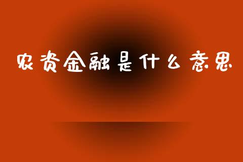 农资金融是什么意思_https://cj002.lansai.wang_会计问答_第1张