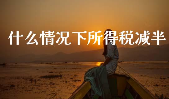 什么情况下所得税减半_https://cj002.lansai.wang_会计问答_第1张