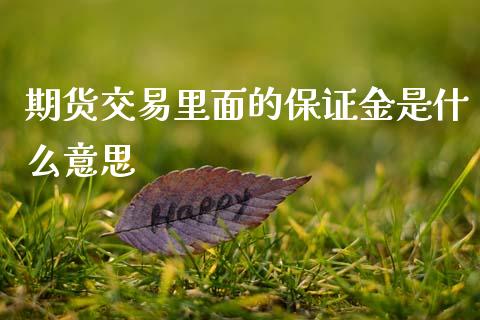 期货交易里面的保证金是什么意思_https://cj002.lansai.wang_期货问答_第1张