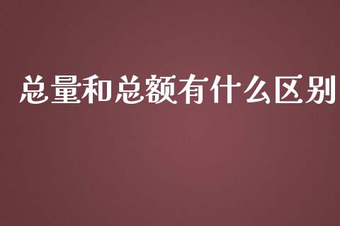 总量和总额有什么区别_https://cj002.lansai.wang_会计问答_第1张