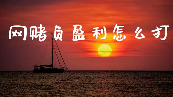 网赌负盈利怎么打_https://cj002.lansai.wang_保险问答_第1张