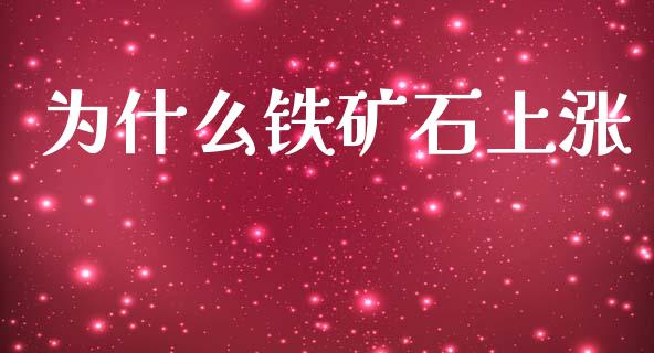 为什么铁矿石上涨_https://cj002.lansai.wang_会计问答_第1张