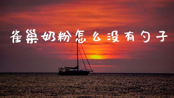 雀巢奶粉怎么没有勺子_https://cj002.lansai.wang_财经问答_第1张
