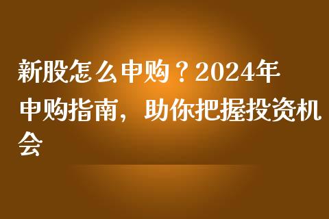 新股怎么申购？2024年申购指南，助你把握投资机会_https://cj002.lansai.wang_期货问答_第1张