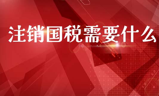 注销国税需要什么_https://cj002.lansai.wang_会计问答_第1张