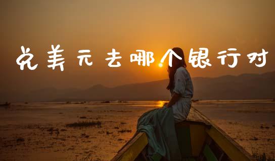 兑美元去哪个银行对_https://cj002.lansai.wang_财经问答_第1张