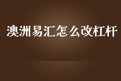 澳洲易汇怎么改杠杆_https://cj002.lansai.wang_财经问答_第1张