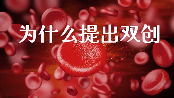 为什么提出双创_https://cj002.lansai.wang_股市问答_第1张