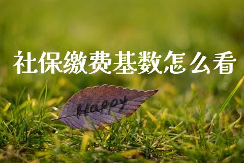 社保缴费基数怎么看_https://cj002.lansai.wang_保险问答_第1张