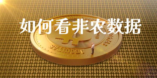 如何看非农数据_https://cj002.lansai.wang_财经问答_第1张