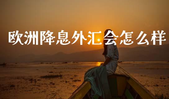 欧洲降息外汇会怎么样_https://cj002.lansai.wang_财经问答_第1张