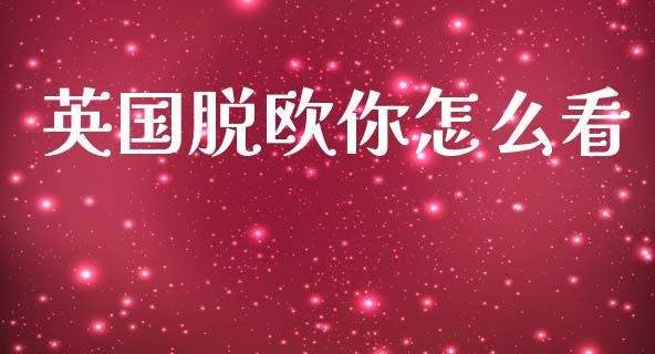 英国脱欧你怎么看_https://cj002.lansai.wang_财经百问_第1张