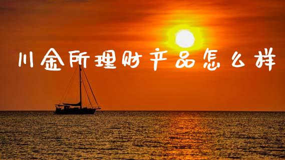 川金所理财产品怎么样_https://cj002.lansai.wang_金融问答_第1张