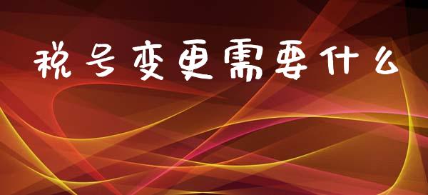 税号变更需要什么_https://cj002.lansai.wang_会计问答_第1张