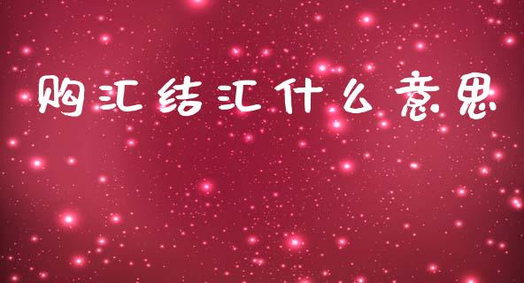 购汇结汇什么意思_https://cj002.lansai.wang_财经问答_第1张
