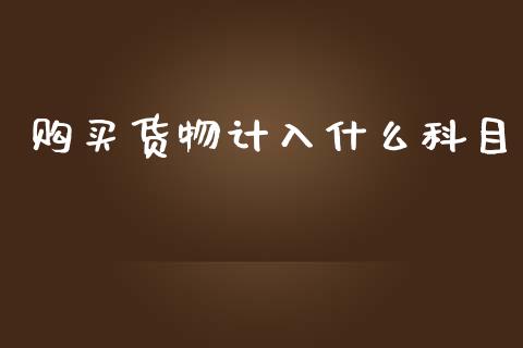 购买货物计入什么科目_https://cj002.lansai.wang_会计问答_第1张