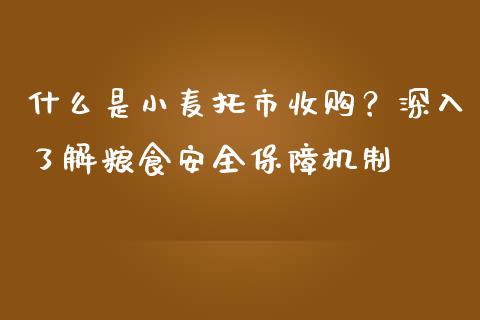 什么是小麦托市收购？深入了解粮食安全保障机制_https://cj002.lansai.wang_会计问答_第1张