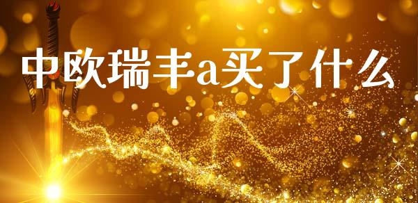 中欧瑞丰a买了什么_https://cj002.lansai.wang_理财问答_第1张