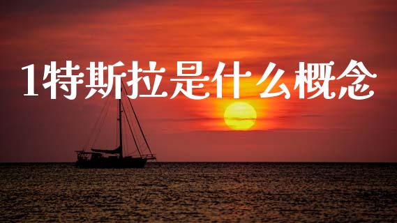 1特斯拉是什么概念_https://cj002.lansai.wang_财经问答_第1张