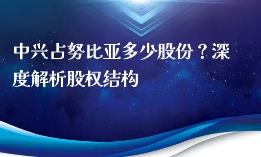 中兴占努比亚多少股份？深度解析股权结构_https://cj002.lansai.wang_财经问答_第1张