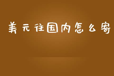 美元往国内怎么寄_https://cj002.lansai.wang_财经百问_第1张