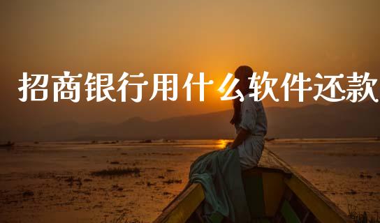招商银行用什么软件还款_https://cj002.lansai.wang_金融问答_第1张