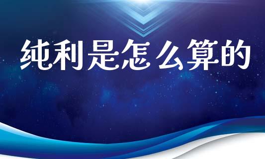 纯利是怎么算的_https://cj002.lansai.wang_会计问答_第1张