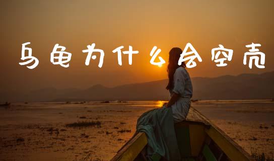 乌龟为什么会空壳_https://cj002.lansai.wang_财经问答_第1张