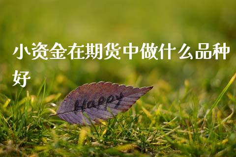小资金在期货中做什么品种好_期货问答_第1张_财经百问网 小资金在期货中做什么品种好_https://cj002.lansai.wang_期货问答_第1张