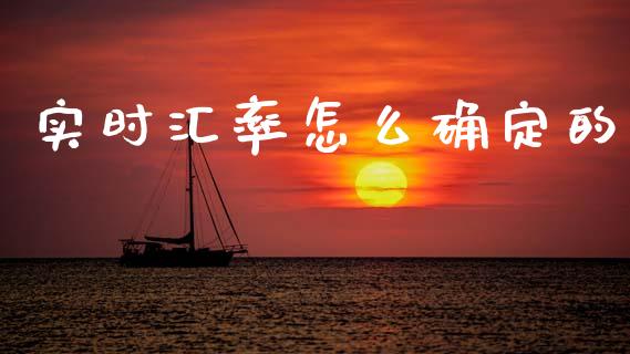 实时汇率怎么确定的_https://cj002.lansai.wang_财经问答_第1张