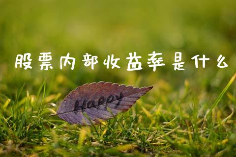 股票内部收益率是什么_https://cj002.lansai.wang_会计问答_第1张