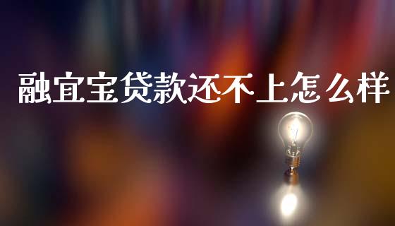 融宜宝贷款还不上怎么样_https://cj002.lansai.wang_财经问答_第1张