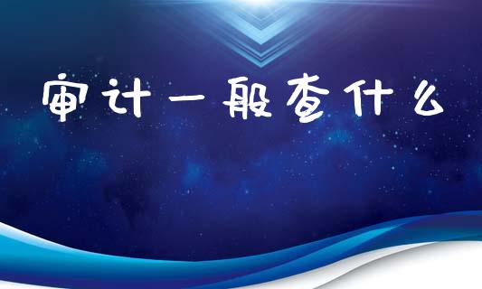 审计一般查什么_https://cj002.lansai.wang_会计问答_第1张