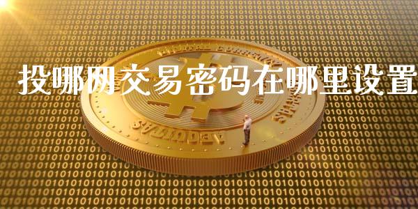 投哪网交易密码在哪里设置_https://cj002.lansai.wang_金融问答_第1张