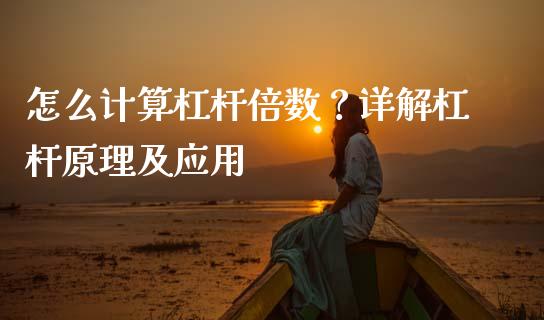 怎么计算杠杆倍数？详解杠杆原理及应用_https://cj002.lansai.wang_理财问答_第1张